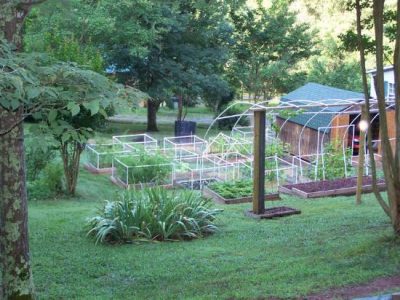 Garden Report 06-20-2012 – Great Blooming Bits! Image